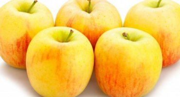 Apple tree snow calvil - informace o odrůdě